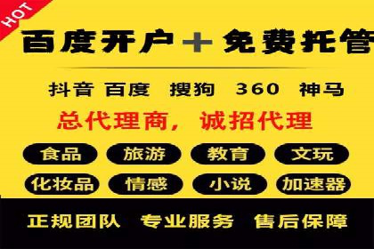 经典案例：专业SEM托管如何实现ROI最大化